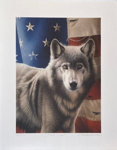 A wonderful, patriotic print of a gray wolf with an American flag in the background.  The wolf is looking forward and its front upper body is shown.  The light reflects nicely off of the wolf and flag.  A couple of the embroidered stars on the flag have threads unravelling and parts of it look a bit ragged depicting that the flag has some age to it.  The colors of the wolf are in shades of grey and white and the flag behind is red, white and blue.