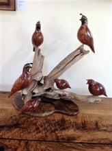 Load image into Gallery viewer, Large sculpture of six redwood burl quail perched on dripwood and a base of inlaid, figured woods
