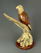 Load image into Gallery viewer, Bald Eagle of maple, myrtlewood and cascara on a driftwood base 
