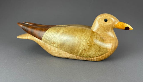 Western Gull of spalted alder, walnut, figured maple and bloodwood